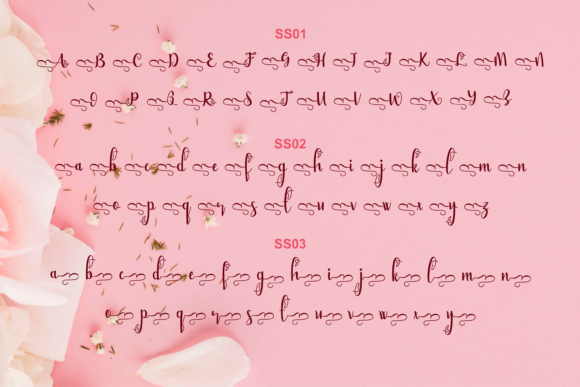 Bellami Font Poster 5