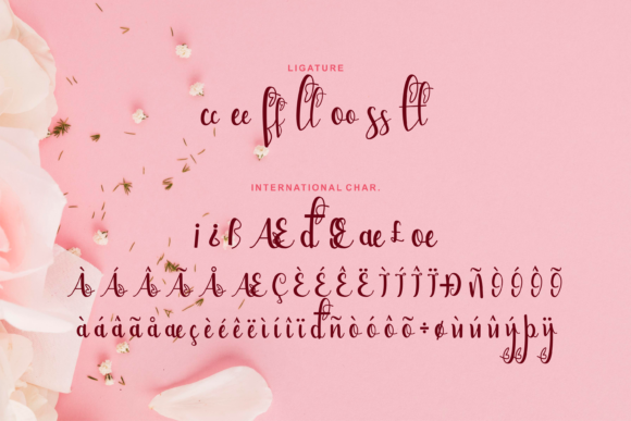 Bellami Font Poster 6