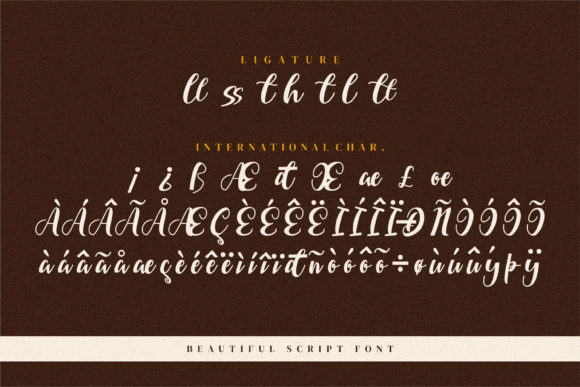 Bellarin Font Poster 14