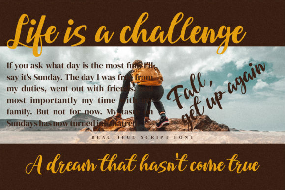 Bellarin Font Poster 8