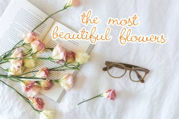 Bellina Font Poster 3