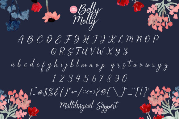 Belly Molly Font Poster 6