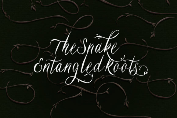Belukar Font Poster 7
