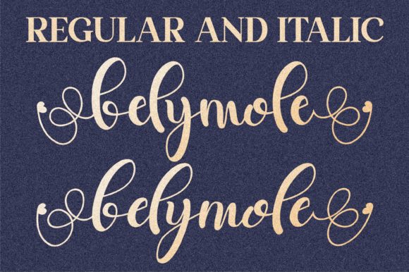 Belymole Font Poster 19