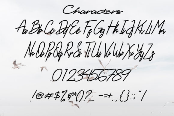 Berdikari Font Poster 5