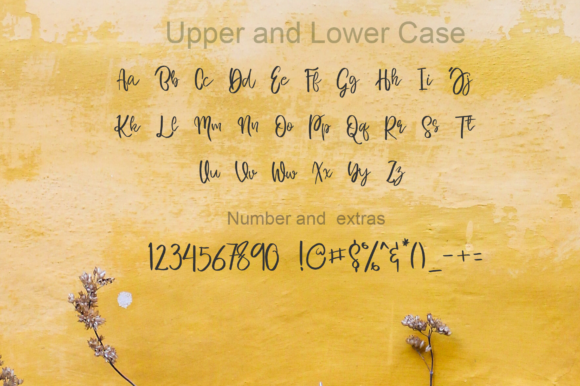 Bergamo in Love Font Poster 3
