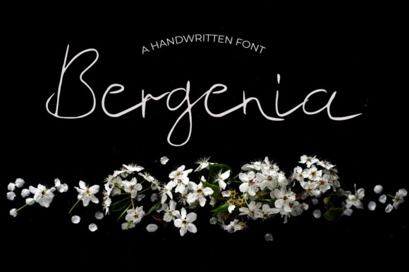Bergenia Font Poster 1