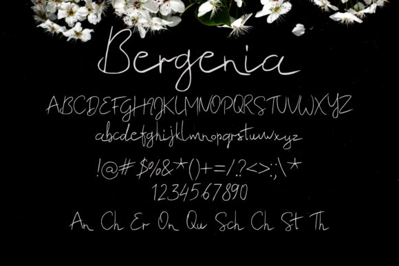 Bergenia Font Poster 2