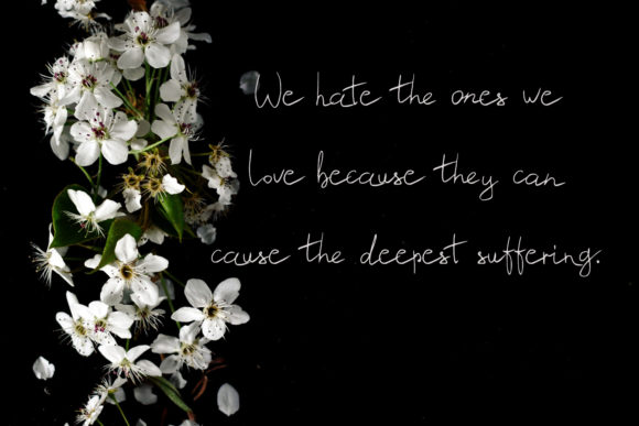 Bergenia Font Poster 3