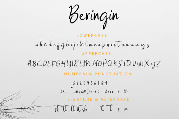 Beringin Font Poster 8