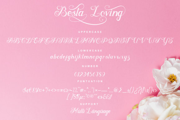 Besta Loving Font Poster 7