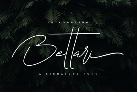 Bettari Font Poster 1