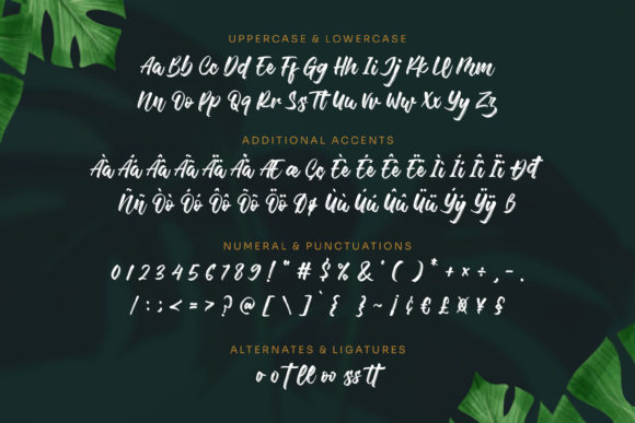 Bettawork Font Poster 9