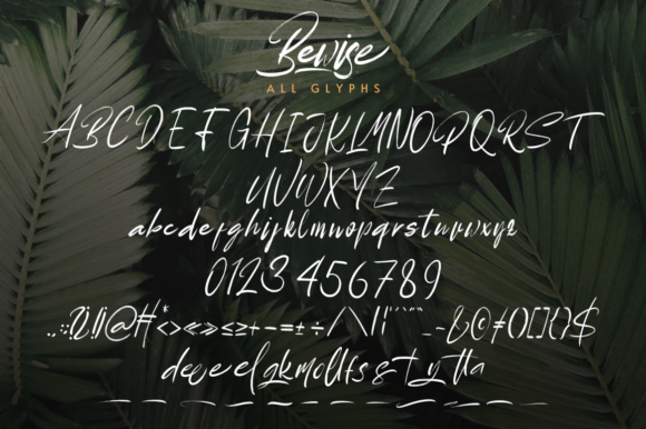 Bewise Font Poster 5