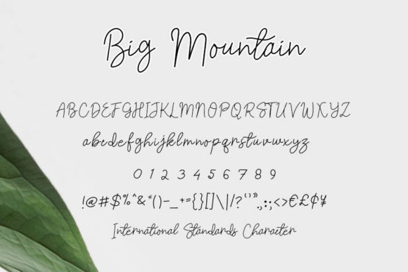 Big Mountain Font Poster 4