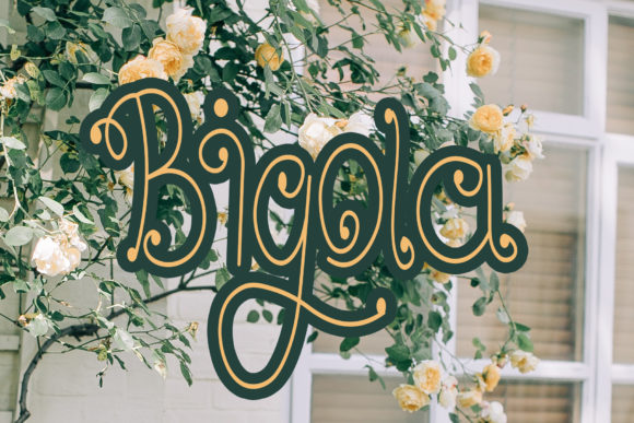 Bigola Font Poster 1