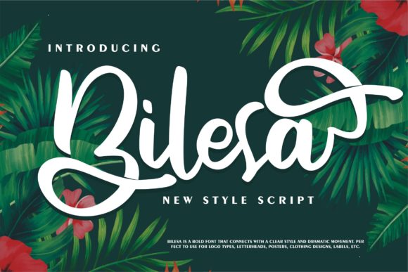 Bilesa Font Poster 1