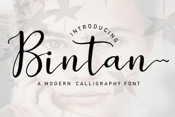 Bintan Font Poster 1