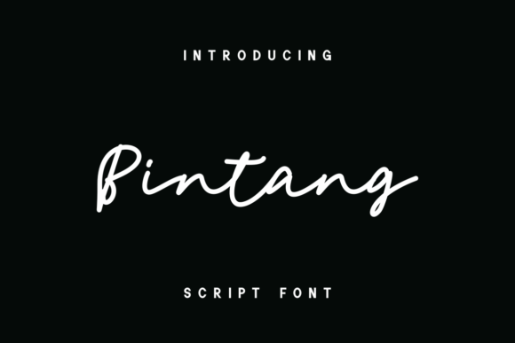 Bintang Font