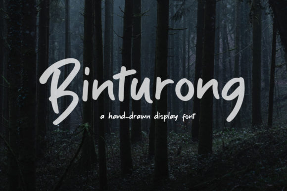 Binturong Font Poster 1