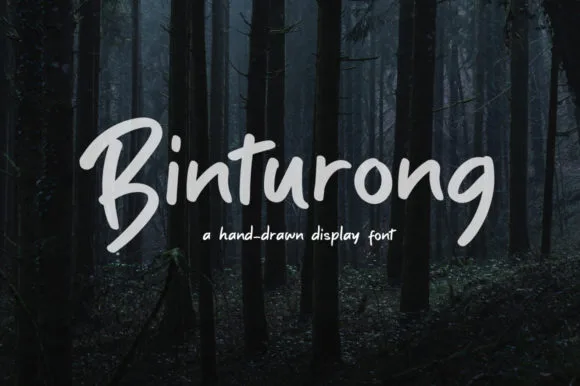 Binturong Font Binturong Font Poster 1