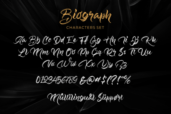 Biograph Font Poster 8