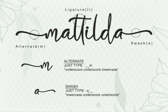 Biolina Larasita Font Poster 7