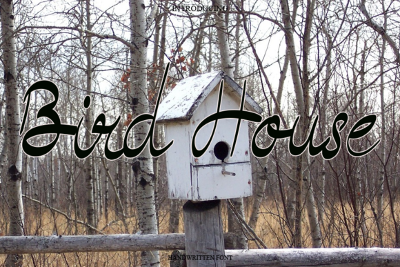 Bird House Font Poster 1