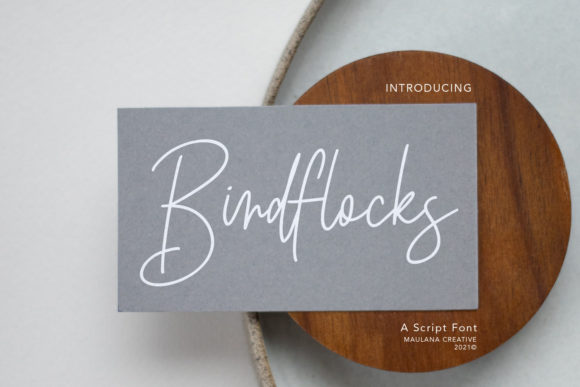 Birdflocks Script Font Poster 1