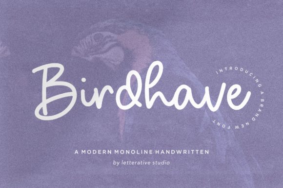 Birdhave Font Poster 1