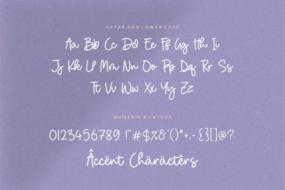 Birdhave Font Poster 6