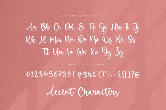 Birdlove Font Poster 6