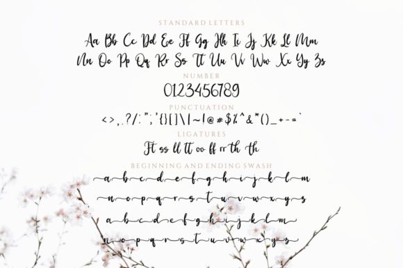 Birdy Home Font Poster 8