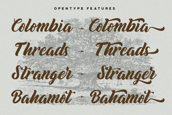 Biyonella Font Poster 4
