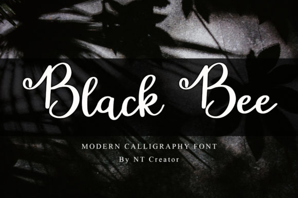 Black Bee Font