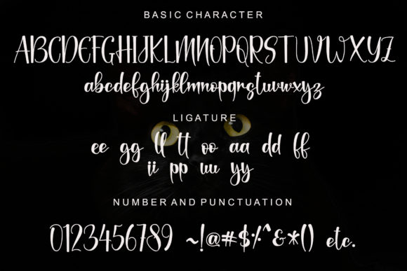 Black Catthie Font Poster 6