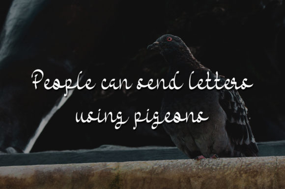 Black Pigeons Font Poster 3