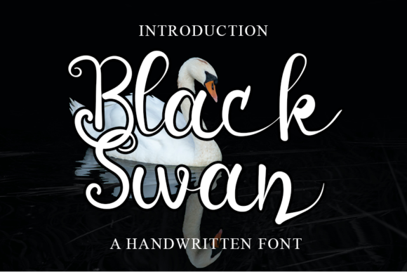 Black Swan Font Poster 1