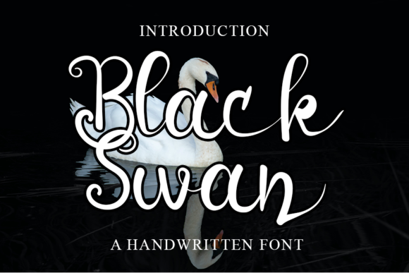 Black Swan Font