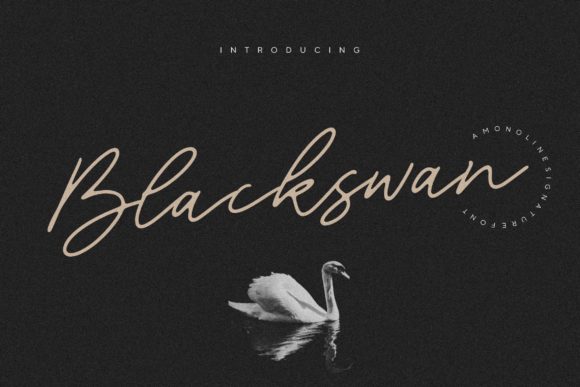 Blackswan Font Poster 1