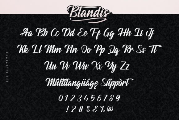 Blandis Font Poster 4