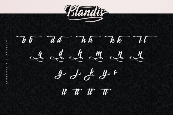 Blandis Font Poster 6