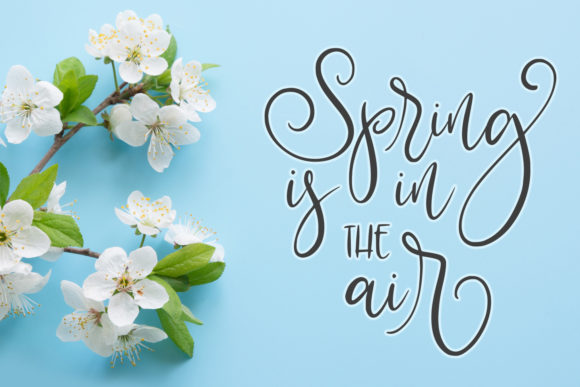 Blessed Farmhouse Font Poster 3