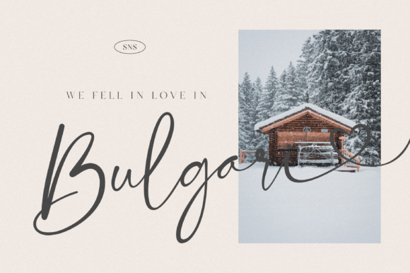 Bloom Winter Font Poster 2