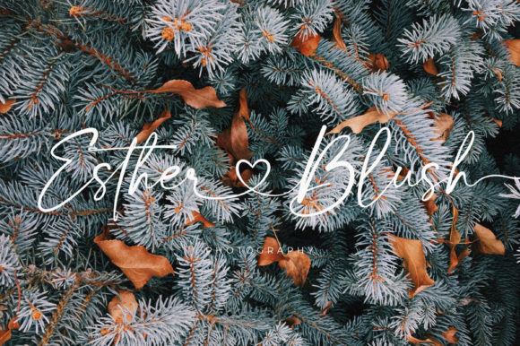 Bloom Winter Font Poster 7