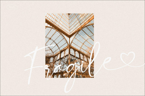 Bloom Winter Font Poster 9