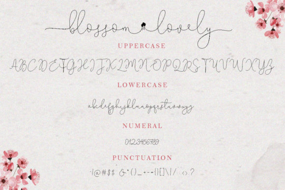 Blossom Lovely Font Poster 7