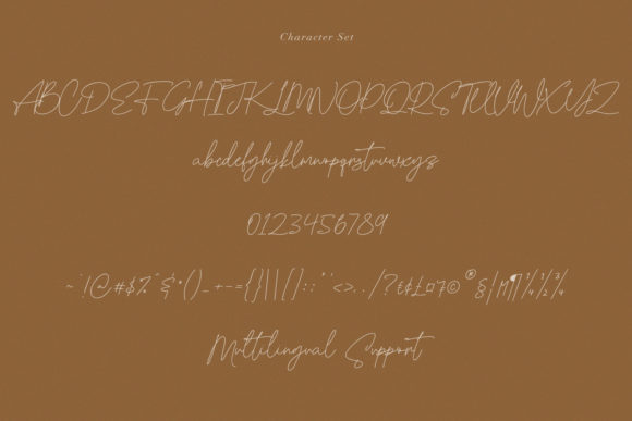 Blowfisher Signature Font Poster 13