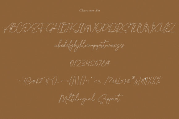 Blowfisher Signature Font Poster 13