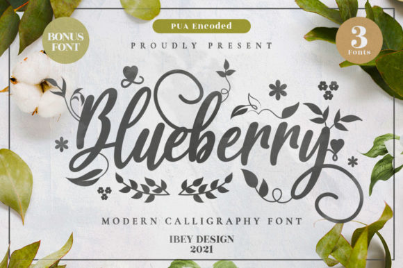 Blueberry Font